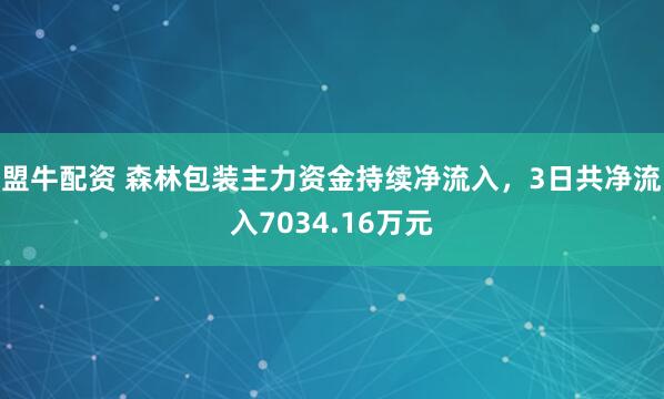 盟牛配资 森林包装主力资金持续净流入，3日共净流入7034.16万元